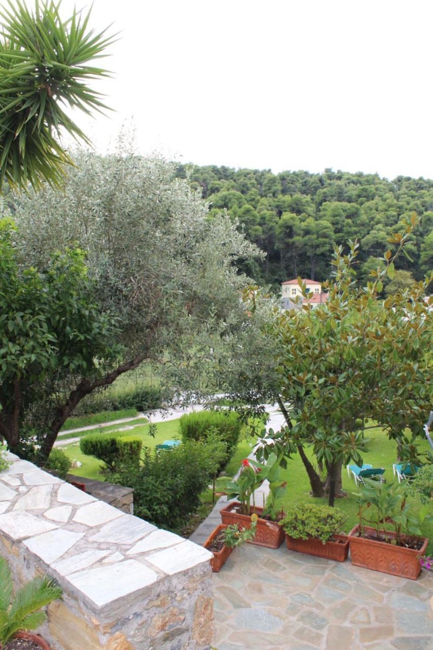 The Pine Trees Apart otel Agnontas Dış mekan fotoğraf
